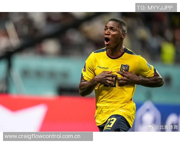 厄瓜多尔主帅透露凯塞多伤情严重卡皮耶出战前景堪忧